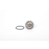 CONTINENTAL Thermostat, Kühlmittel 28.0200-4132.2 - 28020041322 für 06J 121 113A