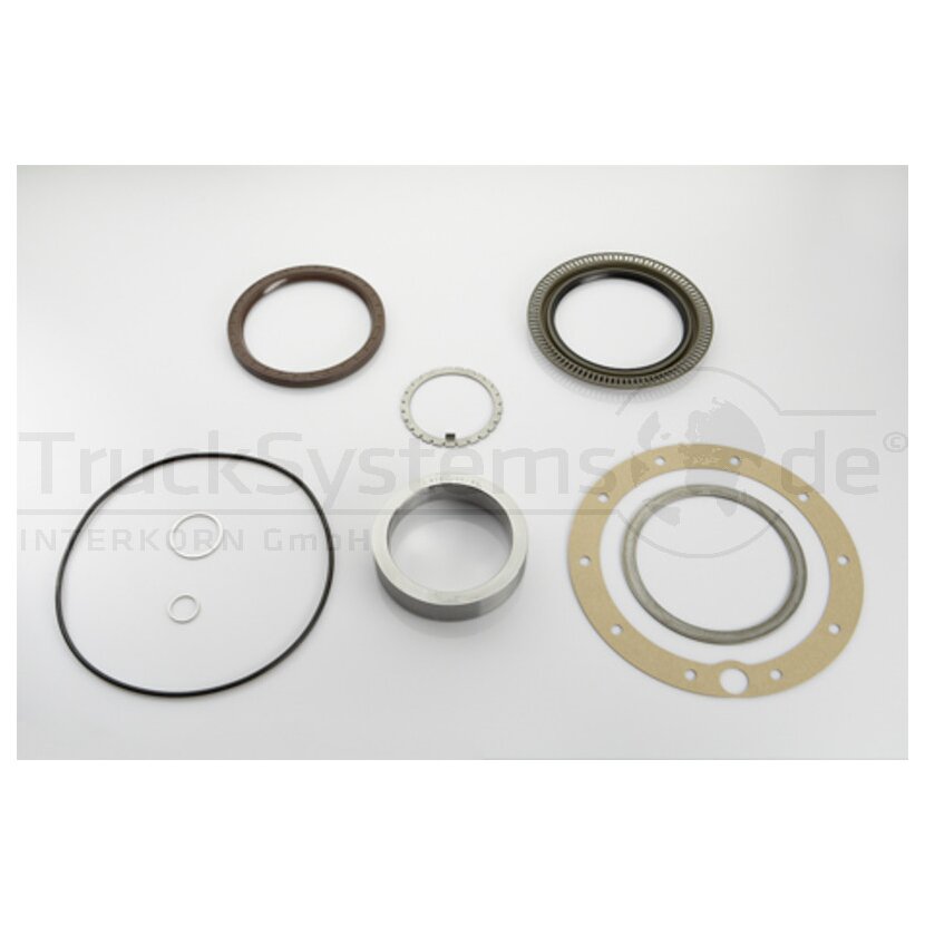 Dichtungssatz 145 x 175/205 x 19  - 011.386-00A - 4057795085268 - 01138600A