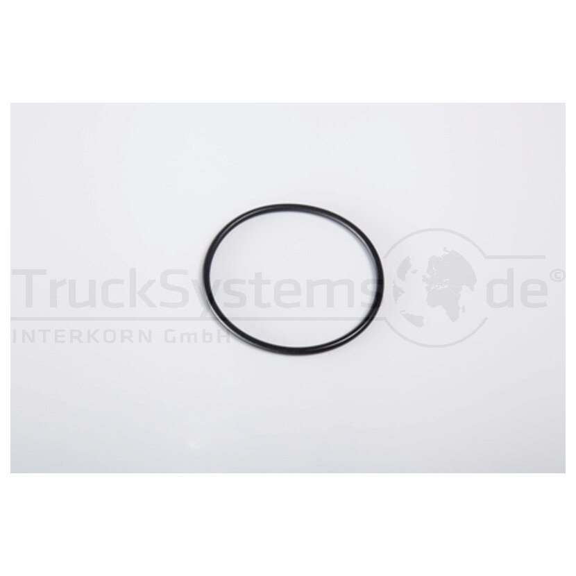 O Ring 62 x 3  - 031.287-00A - 4044407155150 - 03128700A
