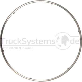 DINEX Dichtung Mercedes Euro VI  - 50902