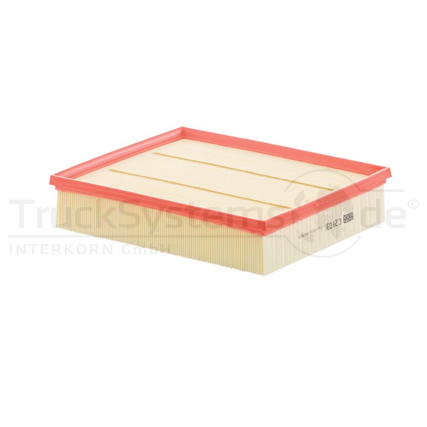 MANN-FILTER Luftfilter C 29 036 - C29036 für 65.08405-0000