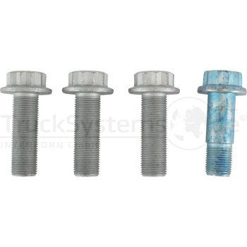 SAF Schraubensatz Bremssattelbefestigung SAF  - 3434366000