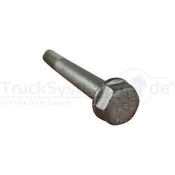 SAF Innensechskantschraube M20x1 5x150  - 04343280210