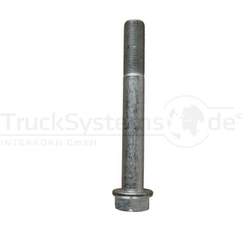 SAF Innensechskantschraube M20x1 5x150  - 04343280210