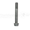 SAF Innensechskantschraube M20x1 5x150  - 04343280210