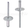 Blindniet Alu/ Stahl F 4 8 x 24 VPE250  - R103348241 - 4251116611963