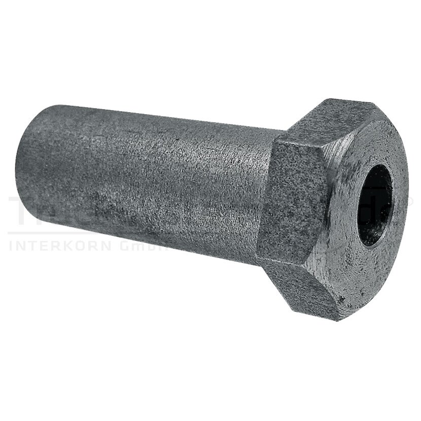 LEISINGER Exzenter 18X45X10mm  - 80020 SAP3 - 80020SAP3