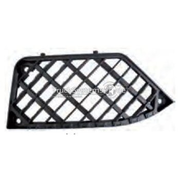 Renault Einstiegsgitter links Premium 2 schwarz 5010544026