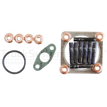 REINZ Montagesatz Lader  - 04-10112-01 - 041011201
