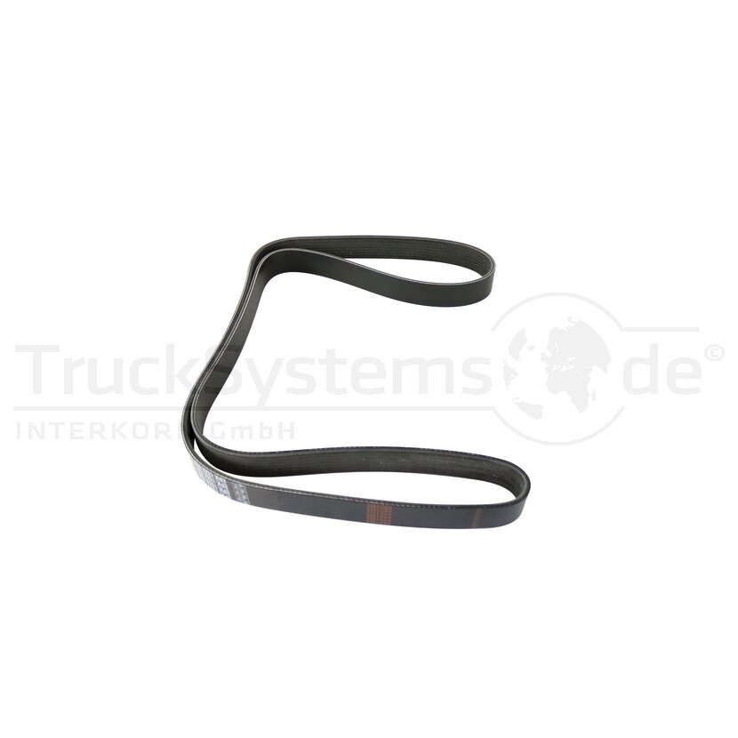 Keilrippenriemen Volvo  - 2.21204 - 4057795329997 - 221204