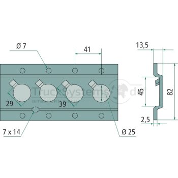 Rundloch- Zurrschiene L: 2993 mm vz - 10011248