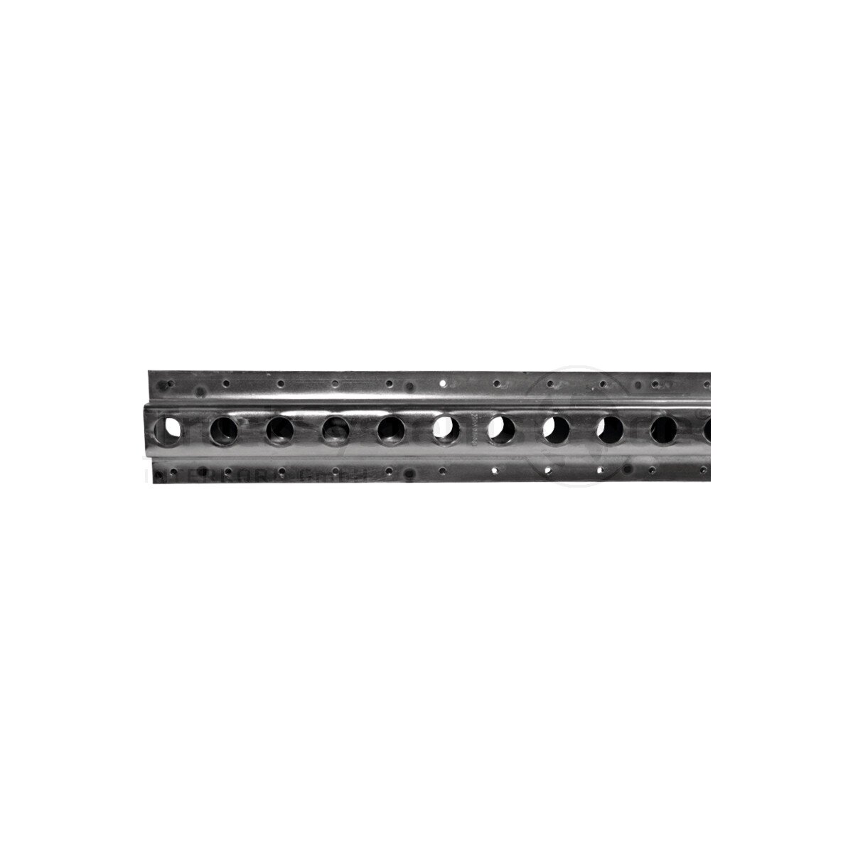 Boden-Zurrschiene L: 2993 mm vz - 10011284