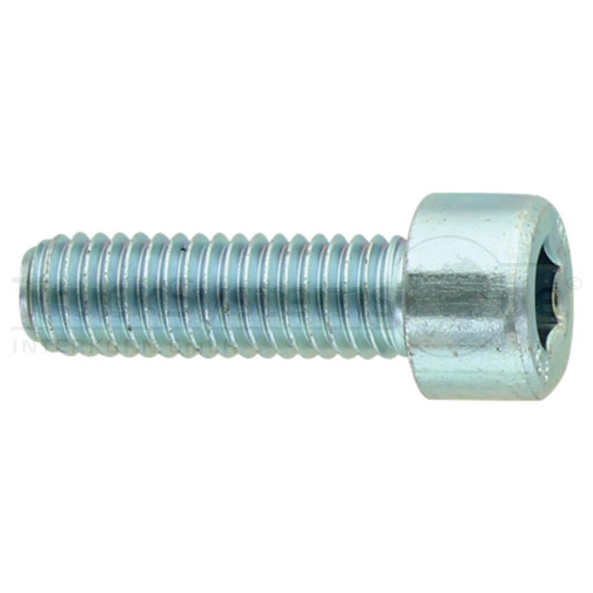 Zyl.Schr.In6kt DIN912 verzinkt M08x035 VE:1  - 009128100080025 - 4043952176788