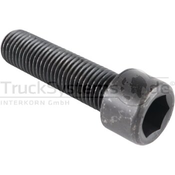 Zyl.Schr.In6kt DIN912 10.9 M16x060 VE:1  -...