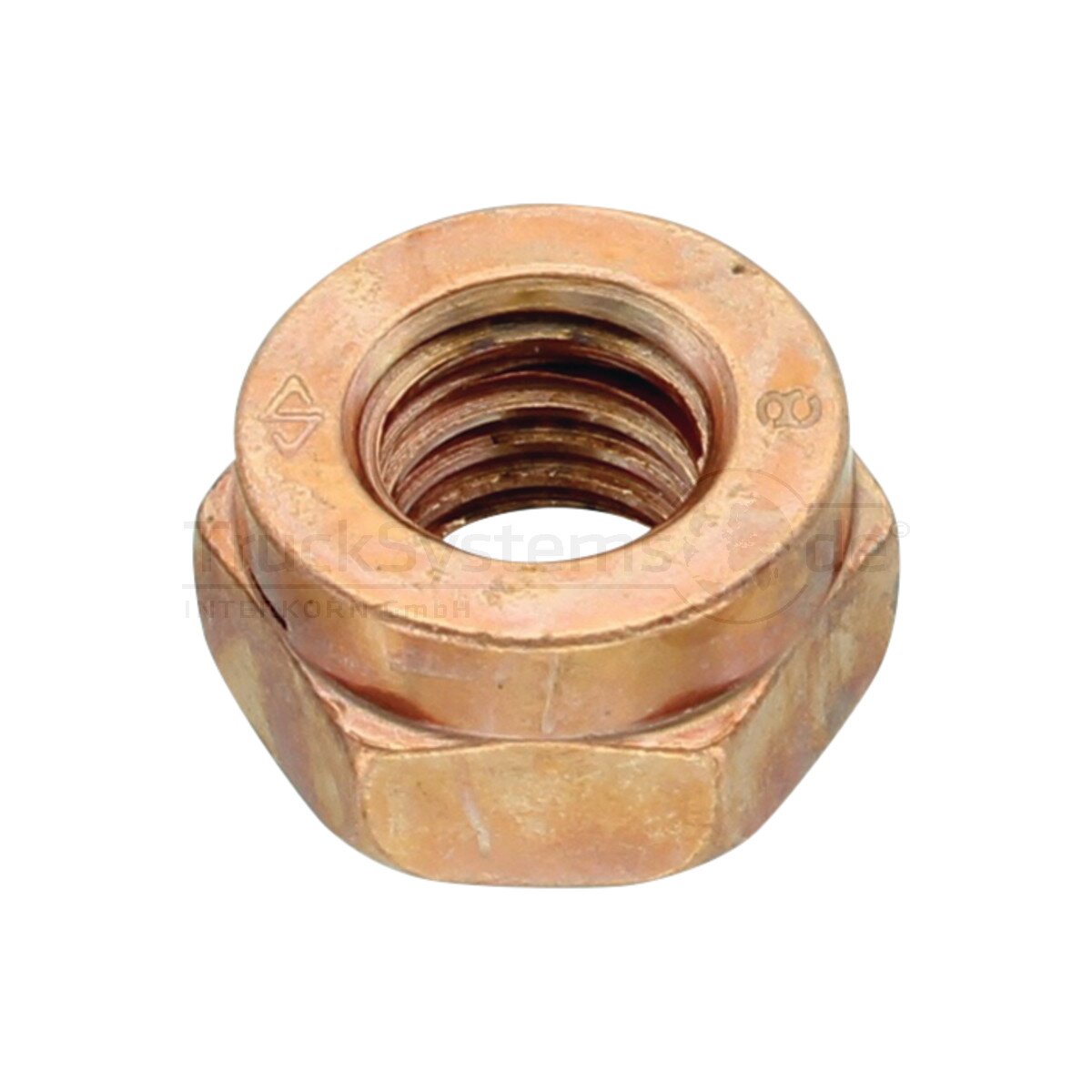 Thermag Mutter 88105 M10 SW17 VE:1ST - 881050300100017 - 4043952665930