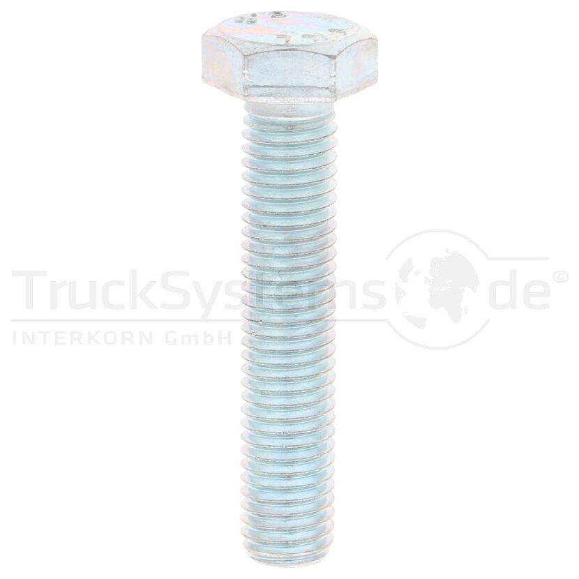 6kt.-Schraube DIN933 verzinkt 12x060 VE:1  - 009338100120060 - 4043952266373