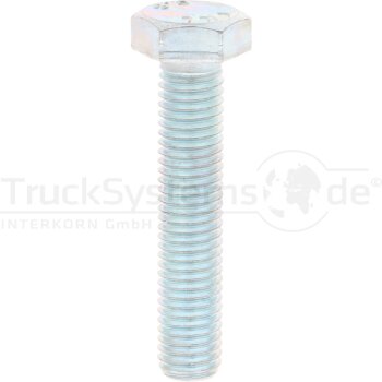 6kt.-Schraube DIN933 verzinkt 12x060 VE:1  -...