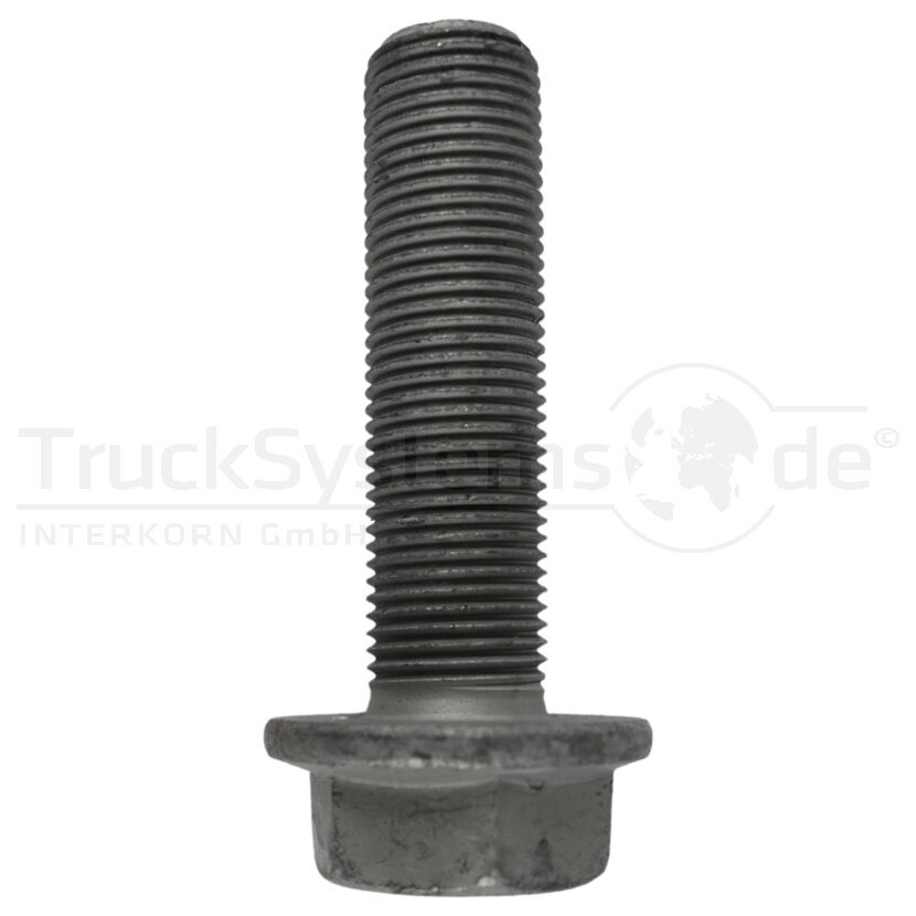 Bundschraube Fl MBN10105 ZL 10.9 M16x1 5x060  - 101051300161060 - 4043952794012