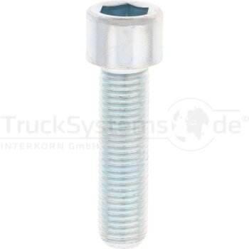 Zyl.Schr.In6kt DIN912 verzinkt M16x060 VE:1  -...