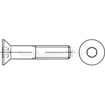 Senkschr.In6kt DIN7991 verzinkt M05x020 VE:1  -...
