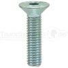 Senkschr.In6kt DIN7991 verzinkt M05x020 VE:1  -...