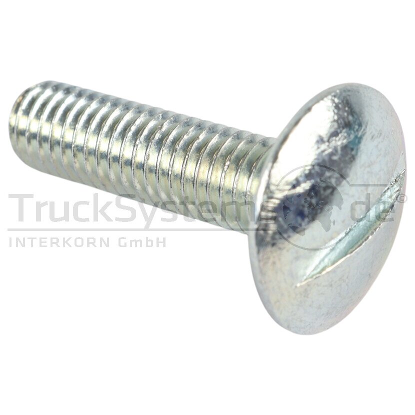 Fl-Rundschr Schlitz DIN88107 verzinkt M08x030  - 881074100080030 - 4043952666296