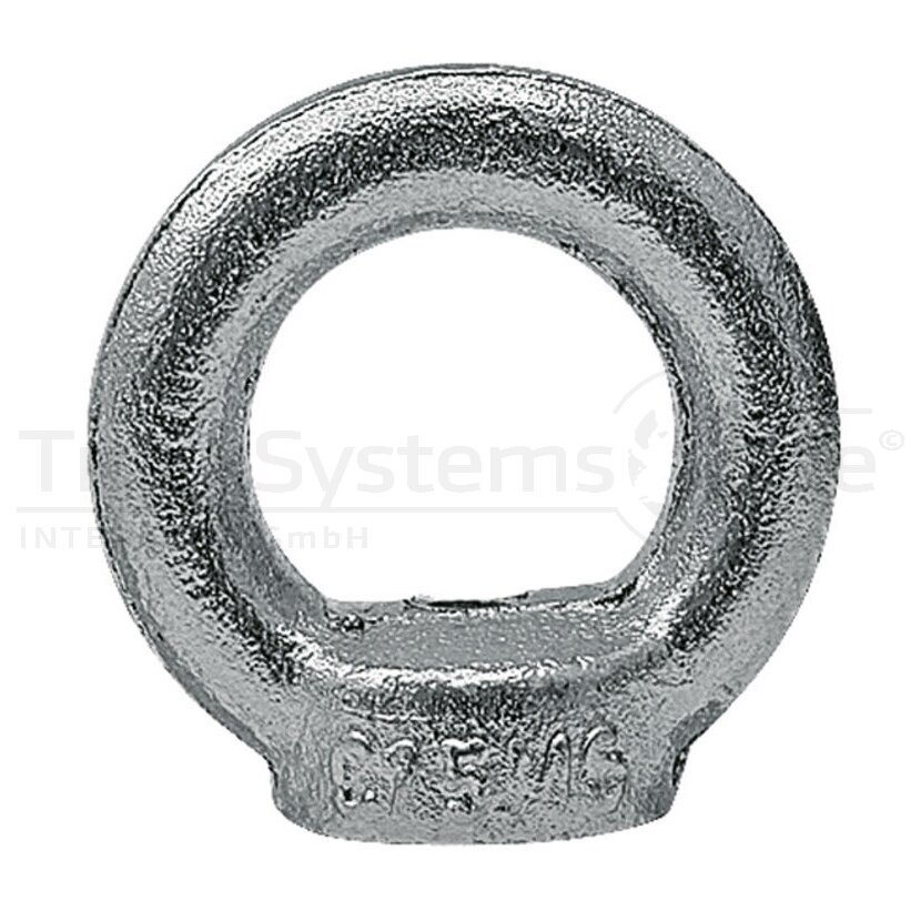 Ringmutter DIN 582 M6 verzinkt VE:1ST  - 005823100060000 - 4043952109854