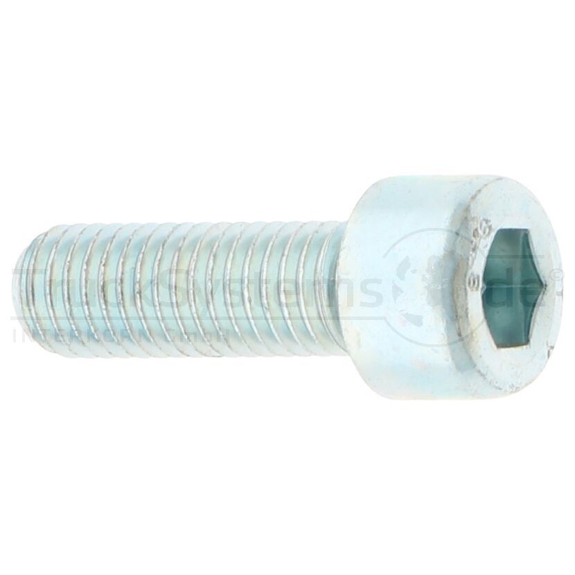 Zyl.Schr.In6kt DIN912 verzinkt M10x0 VE:1  - 009128100100030 - 4043952177228