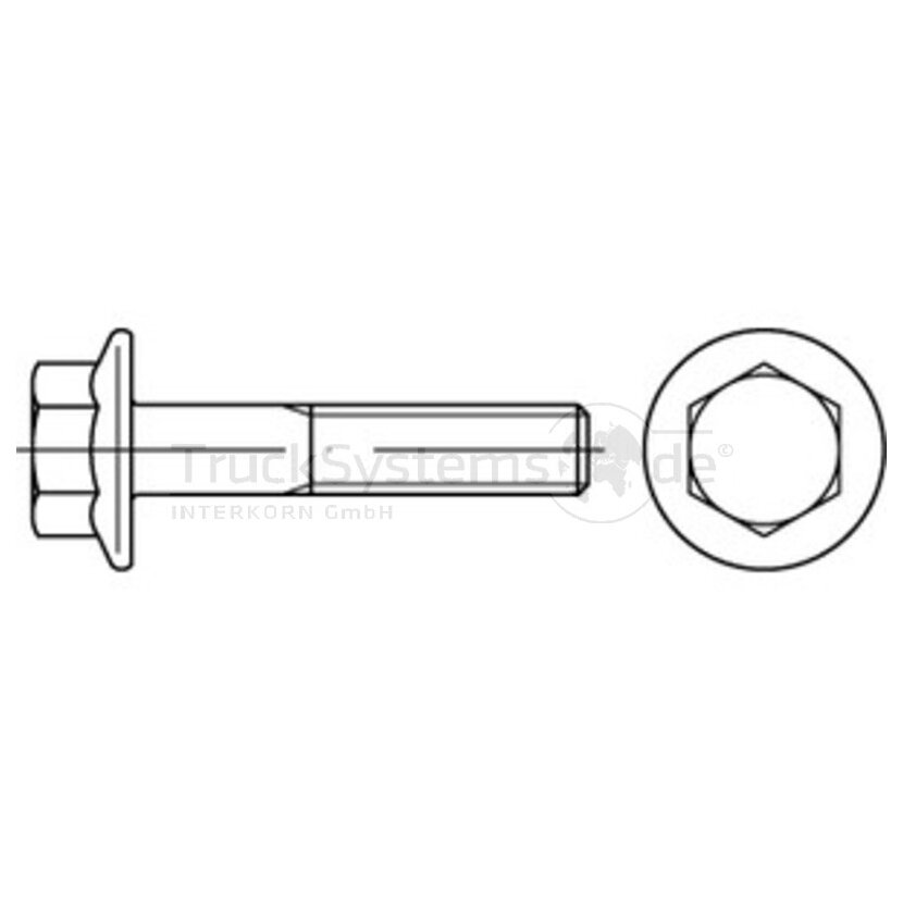 Bundschraube Fl MBN10105 ZL 10.9 M12x1 5x060  - 101051300121060 - 4043952771433