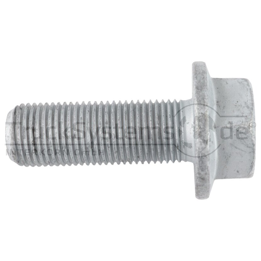 Bundschraube Fl MBN10105 ZL 10.9 M16x1 5x045  - 101051300161045 - 4043952771556