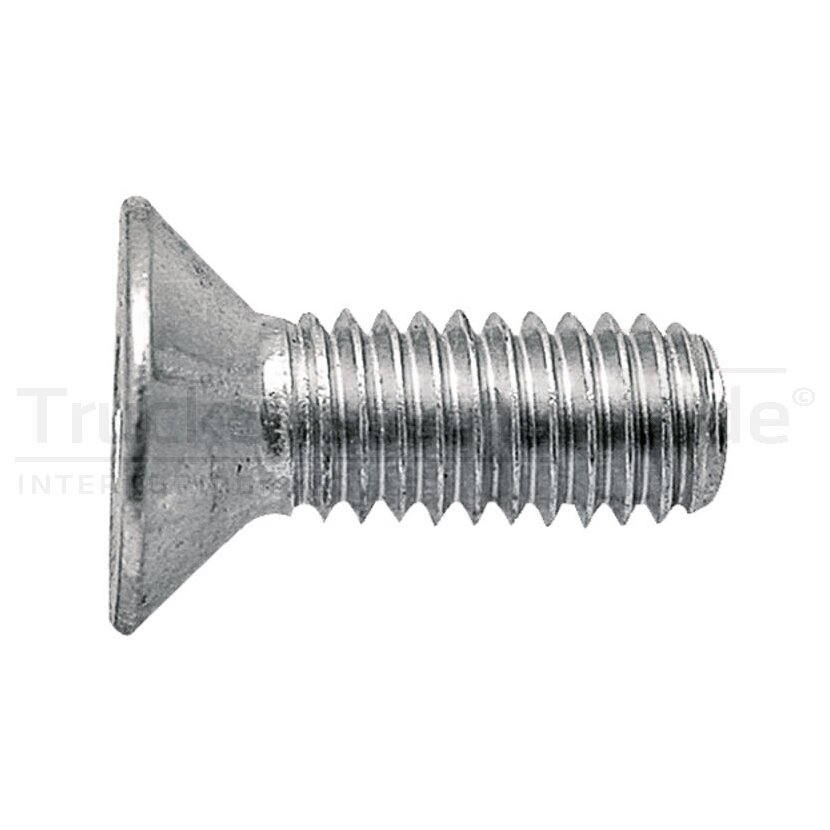 Senkschr.In6kt DIN7991 verzinkt M06x030 VE:1  - 106428100060030 - 4043952605943