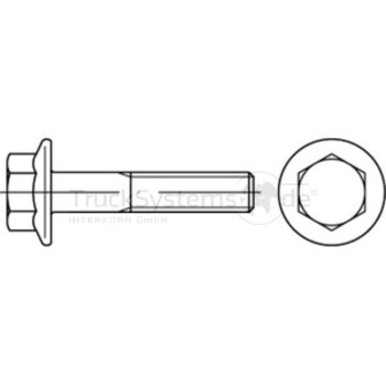 Bundschraube Fl MBN10105 ZL 10.9 M16x1 5x040  -...