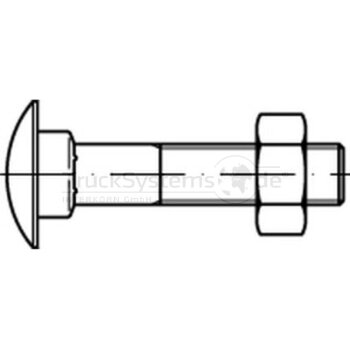 Schlossschraube DIN603 verzinkt M06x040 VE:1  -...