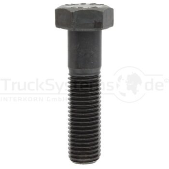 6kt.-Schraube DIN931 10.9 M20x080 VE:1  - 009311000200080...