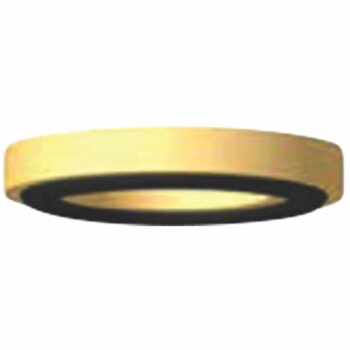 RAUFOSS COUPLINGS Druckring mit O-Ring - 6239149