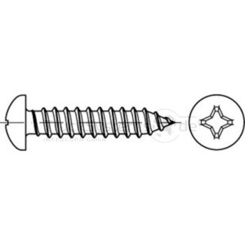 Linsen-Blechschraube VE100 - 4877981030