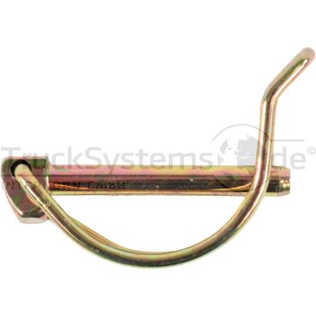 EDSCHA Rohrklappstecker 6mm  - 4100083019
