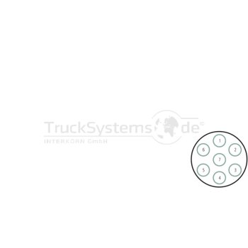 HELLA Steckdose - 8JB 003 834-021 - 8JB003834021