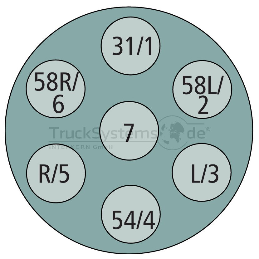 HELLA Steckdose - 8JB 008 085-021 - 8JB008085021