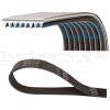 DAYCO Keilrippenriemen L: 1535mm  - 8PK1535HD