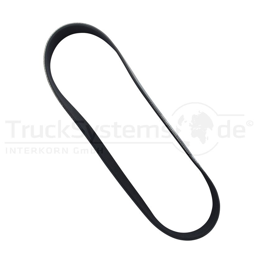 DAYCO Keilrippenriemen L: 800mm  - 8PK800HD