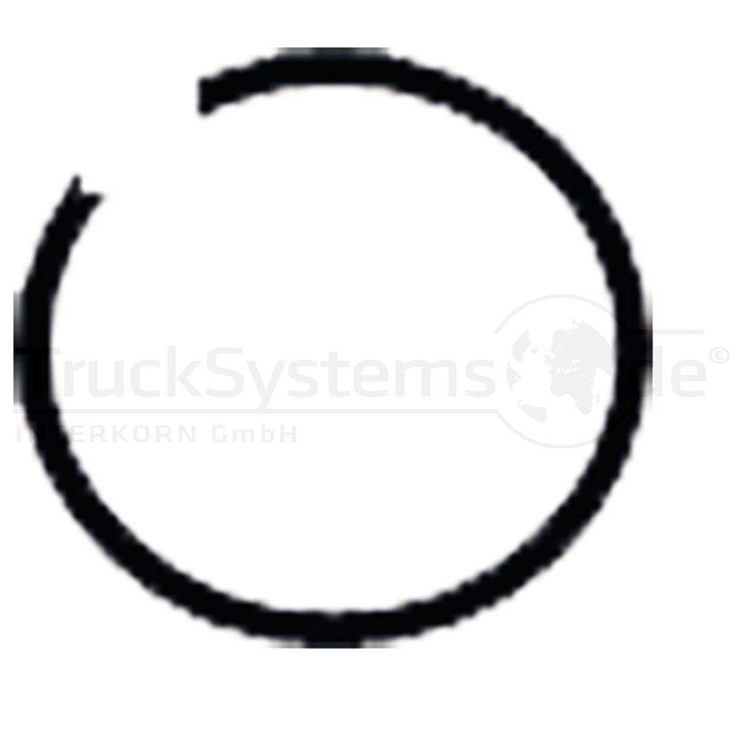 JOST Sicherungsring  - 915000190