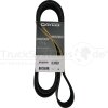 DAYCO Keilrippenriemen DB L: 2000mm  - 9PK2000HD