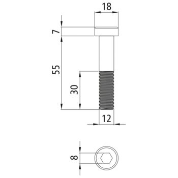 SUER Zylinderschraube, Stahl verzinkt, M 12 × 55 -...