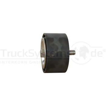 DAYCO Umlenkrolle (Metallrolle)  - APV3064