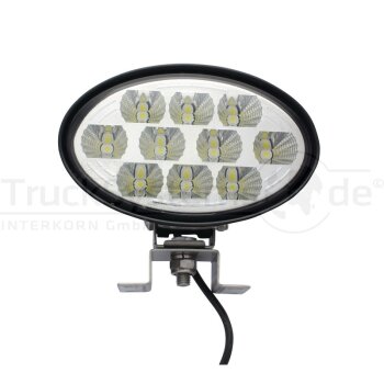 Aspöck LED-Rückfahrleuchte, 12/24 V, oval, 2,50...