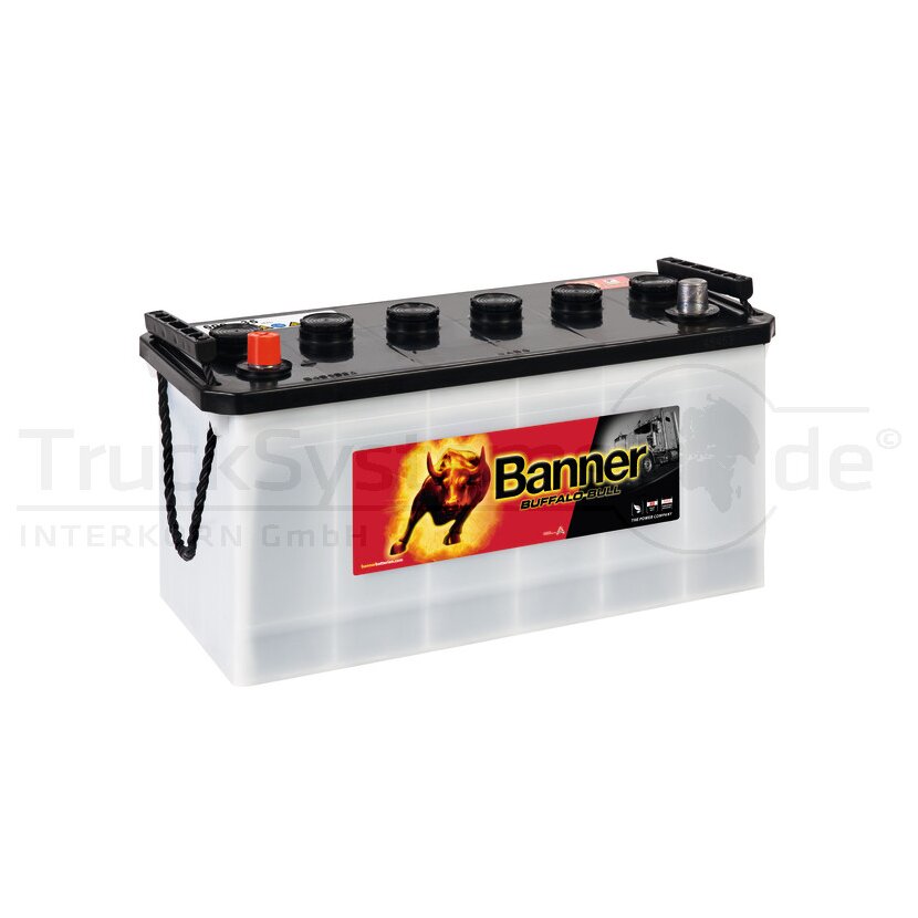 BANNER Starterbatterie Banner 12V 100Ah - 010600350101