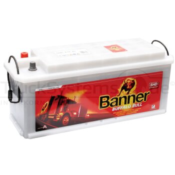 BANNER Starterbatterie Banner 12V 110Ah  - 018610400101