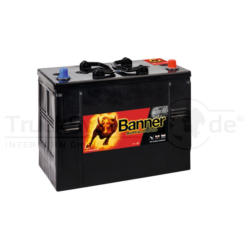 BANNER Starterbatterie Banner 12V 125Ah - 010625110101