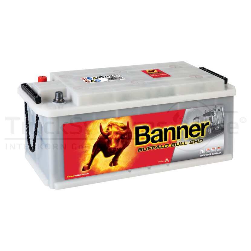 BANNER Starterbatterie Banner 12V 170Ah - 018670330101